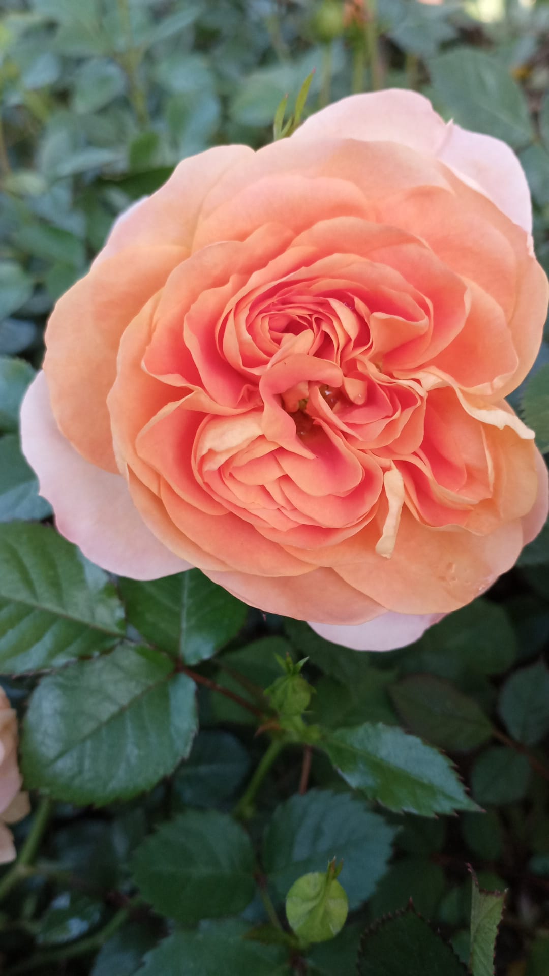 Perfection has to do with the end product